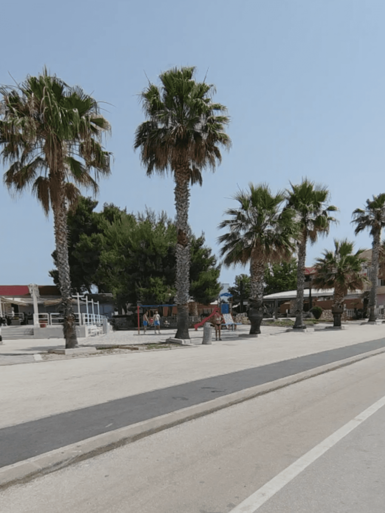 Palmen (1)